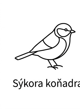 Sýkora koňadra
